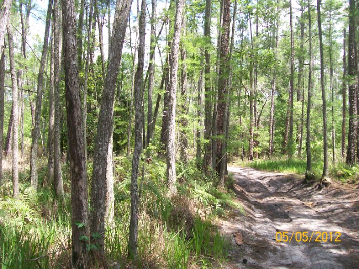 2012-May-05_HGR4X4_Richloam 198